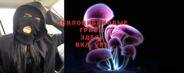амф Алзамай
