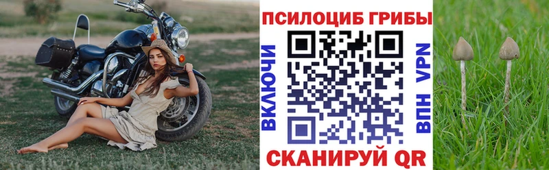 Псилоцибиновые грибы прущие грибы  ОМГ ОМГ ССЫЛКА  Славск  наркотики 